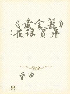 《黄金笼》作者:夜很贫瘠封面