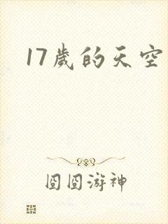 17岁的天空封面
