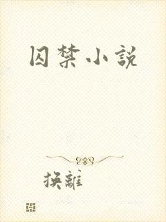 囚禁小说