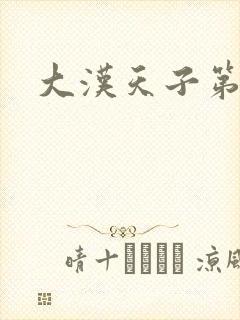 大汉天子第一部封面