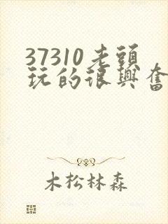 37310老头玩的很兴奋封面