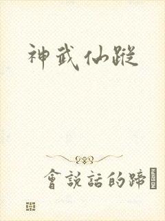 神武仙踪封面