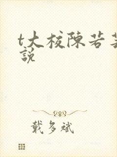 t大校陈若芸小说封面