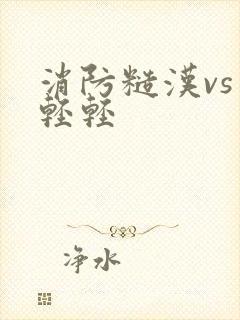 消防糙汉vs宋轻轻
