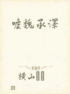 嘘魏承泽封面