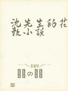 沈先生的花式管教小说封面