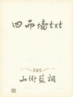 四面墙txt