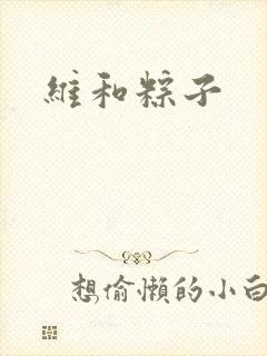 维和粽子