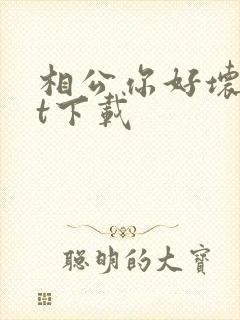 相公你好坏txt下载封面