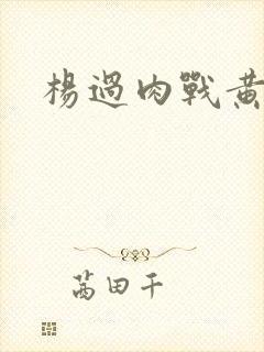 杨过肉战黄蓉