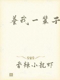养我一辈子封面