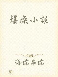 爆操小说
