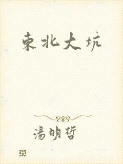 东北大坑