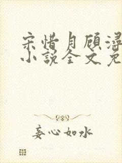 宋惜月顾浔渊的小说全文免费阅读