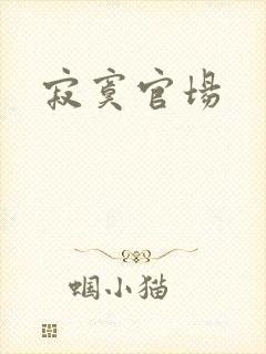 寂寞官场
