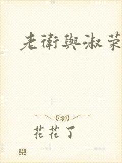 老卫与淑荣封面