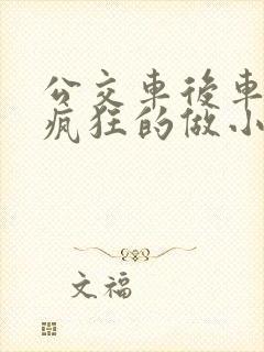 公交车后车座的疯狂的做小