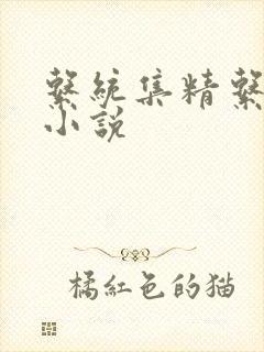 系统集精系统 小说