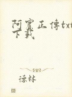 阿宾正传txt下载