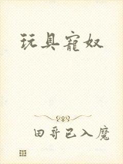 玩具宠奴