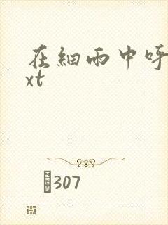 在细雨中呼喊txt