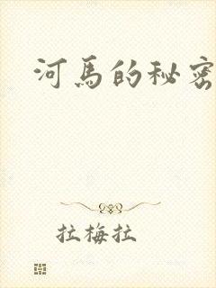 河马的秘密河封面