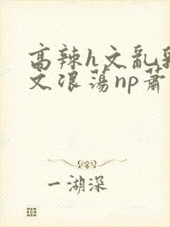 高辣h文乱乳h文浪荡np萧太后