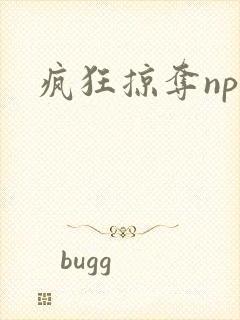 疯狂掠夺npc