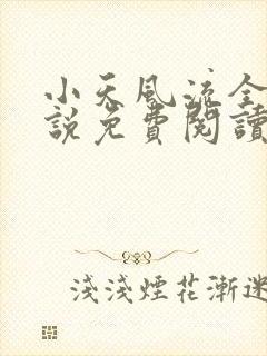 小天风流全集小说免费阅读