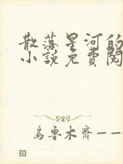 散落星河的记忆小说免费阅读全文封面