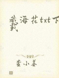 藏海花txt下载