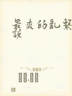 最爽的乱系列小说