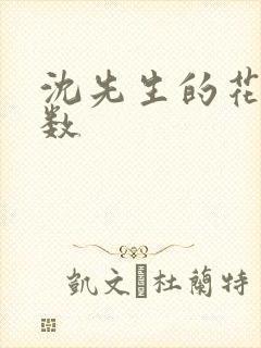 沈先生的花式调数