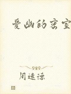 爱幽的密室小说