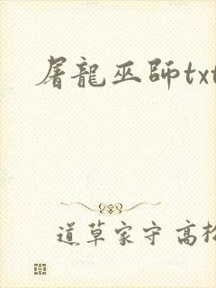 屠龙巫师txt