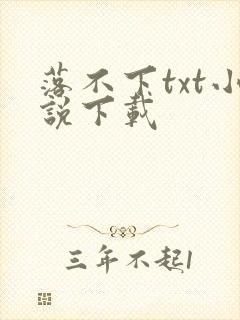 落不下txt小说下载