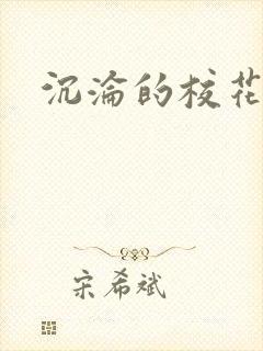 沉沦的校花封面