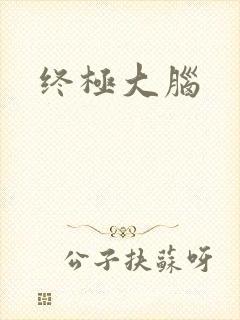 终极大脑