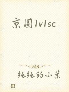 京圈1v1sc