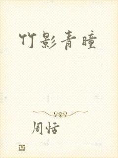 竹影青瞳封面