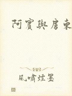阿宾与房东太太封面