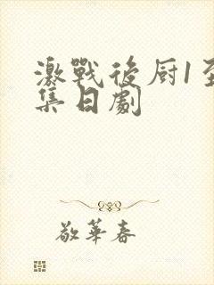 激战后厨1至5集日剧