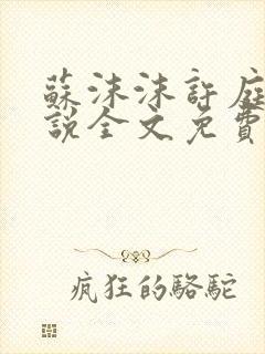 苏沫沫许庭川小说全文免费阅读
