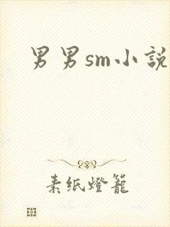男男sm小说封面