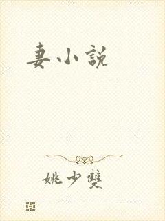 妻小说