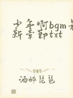 少年啊bgm最新章节txt封面