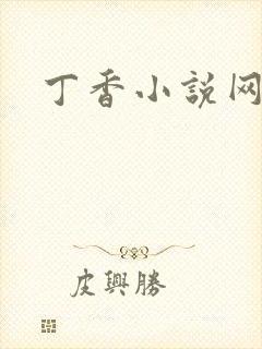 丁香小说网