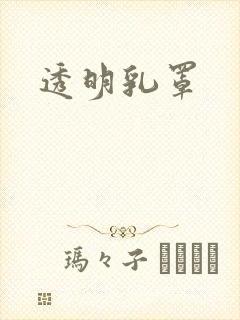 透明乳罩封面