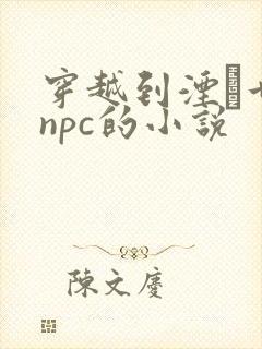 穿越到湮婸世界npc的小说