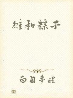 维和粽子
